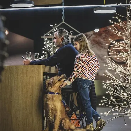 Lodge Aves Hotel&apartment *