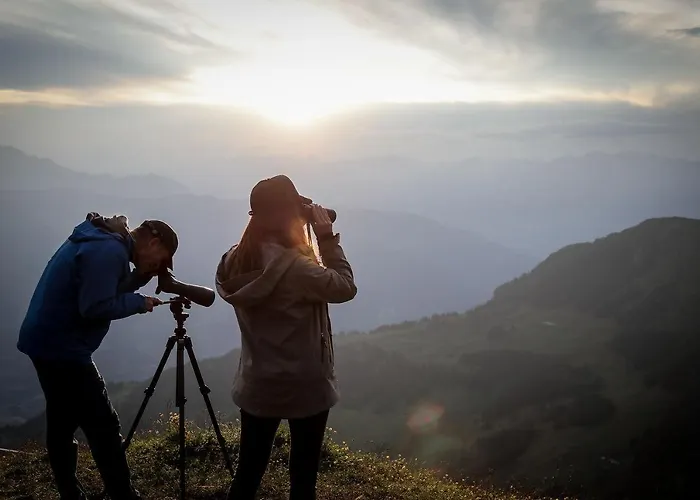 Orman Evi Aves Hotel&apartment Arosa