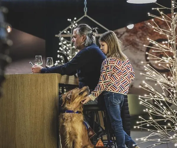 Lodge Aves Hotel&apartment *